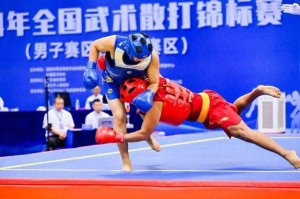 体育平台-关注十五运会｜拳拳到肉，招招惊心！散打测试赛将激战湛江